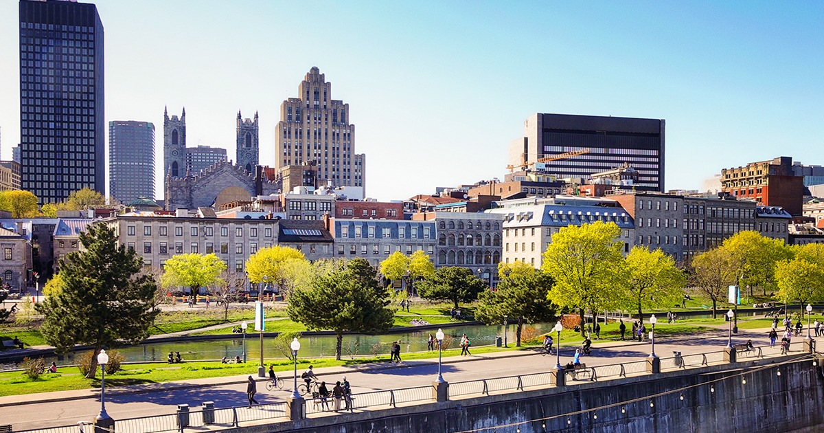 Board and governance practices